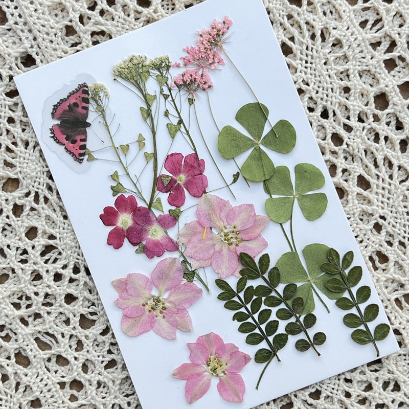 2022 New Design Kids Art DIY Dried Pressed Flowers Butterfly And Dry Plants Pressed Natural Flowers