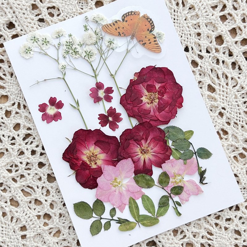2022 New Design Kids Art DIY Dried Pressed Flowers Butterfly And Dry Plants Pressed Natural Flowers