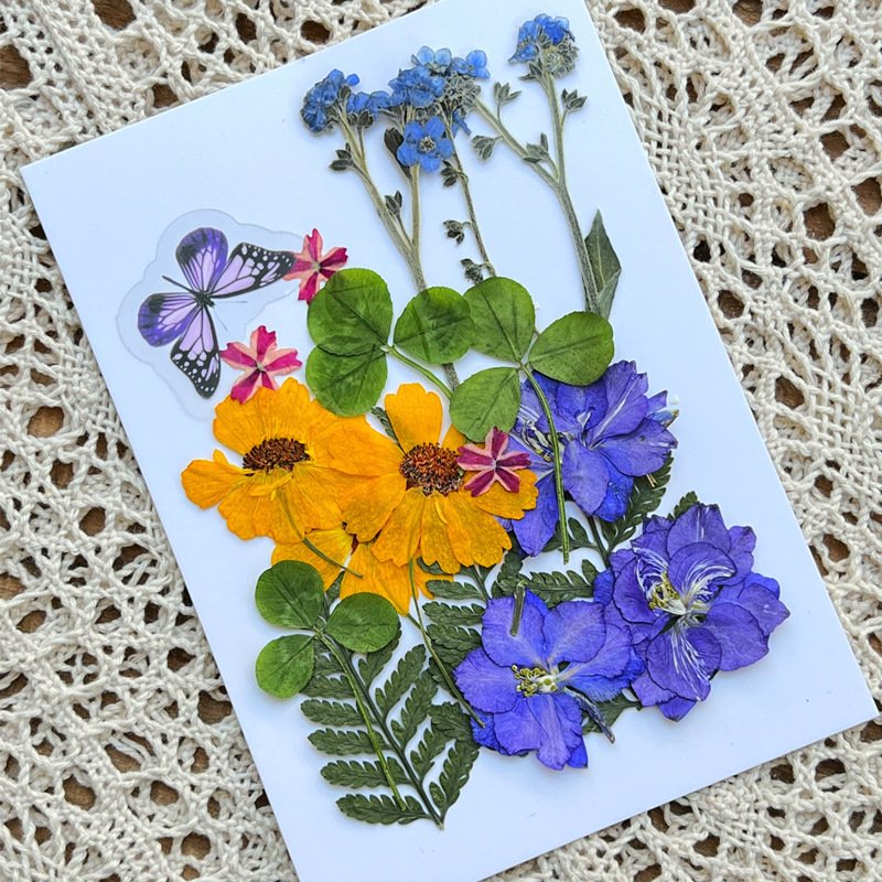 2022 New Design Kids Art DIY Dried Pressed Flowers Butterfly And Dry Plants Pressed Natural Flowers
