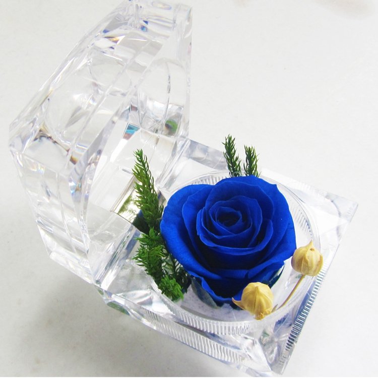 2025 Hot Single Preserved Rose Flower Immortal Flower In Acrylic Box Valentine Day Gift Wholesaler Eternal Rose