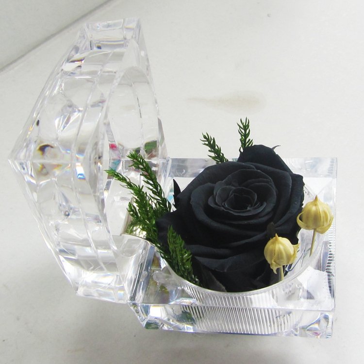 2025 Hot Single Preserved Rose Flower Immortal Flower In Acrylic Box Valentine Day Gift Wholesaler Eternal Rose