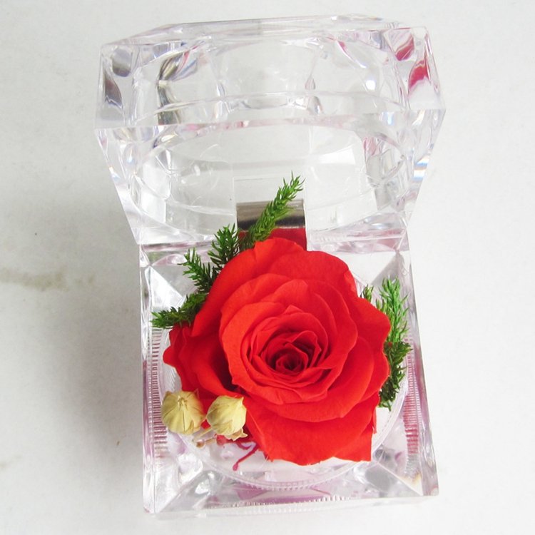 2025 Hot Single Preserved Rose Flower Immortal Flower In Acrylic Box Valentine Day Gift Wholesaler Eternal Rose