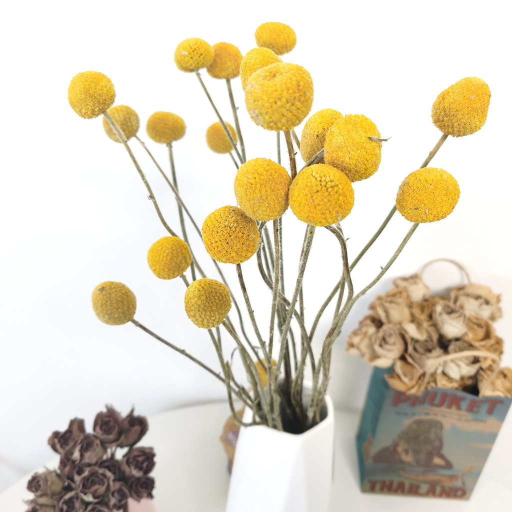 2023 Hot Selling Dried Golden Ball Flower Bouquet Yellow Bleached Dried Billy Button Dried Craspedia For Home Wedding Decoration