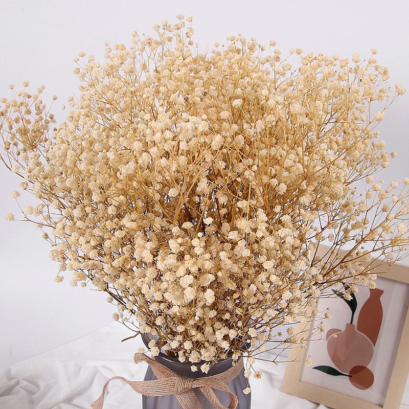 120g bunch colorful dried baby breath flower arrangement real touch baby breath for wedding home decor