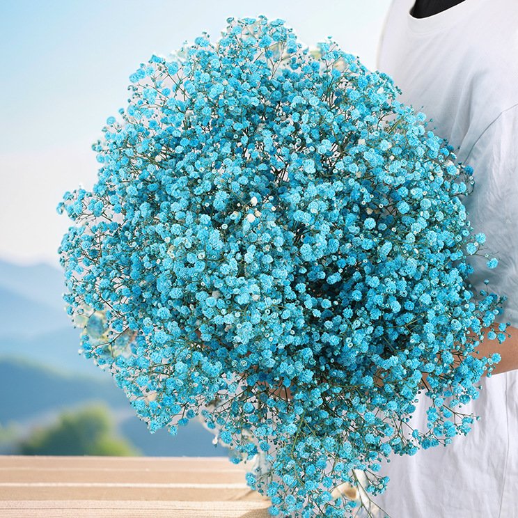 120g bunch colorful dried baby breath flower arrangement real touch baby breath for wedding home decor