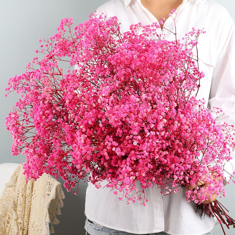 120g bunch colorful dried baby breath flower arrangement real touch baby breath for wedding home decor