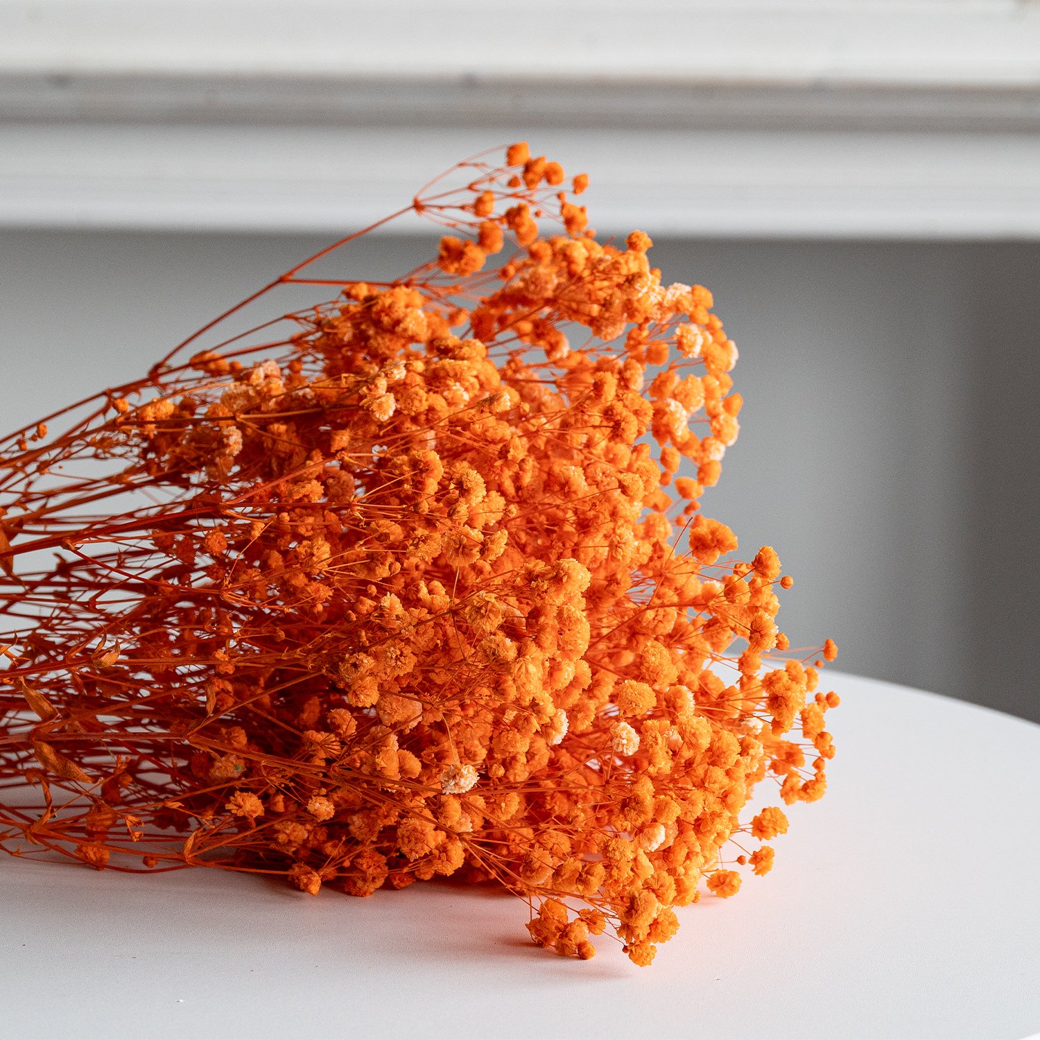 Factory Wholesale orange preserved baby's breath floral dried baby breath gypsophila babysbreath bouquet flower