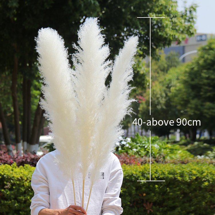 A-33 2023 new arrivals natural artificial flowers large pampas pampa grass dried flower decorative flowers