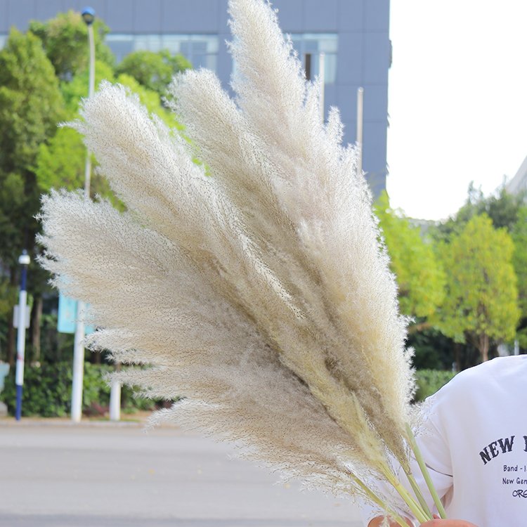 A-33 2023 new arrivals natural artificial flowers large pampas pampa grass dried flower decorative flowers