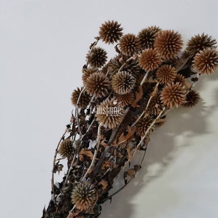MSFAME Dried Bouquet Kainking Preserved Flowers Silica Gel Flower Drying