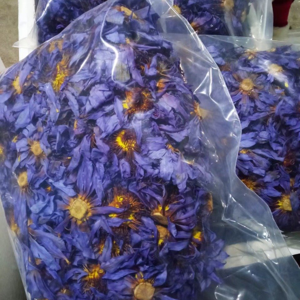 wholesale beautiful natural plant dried blue lotus flowers
