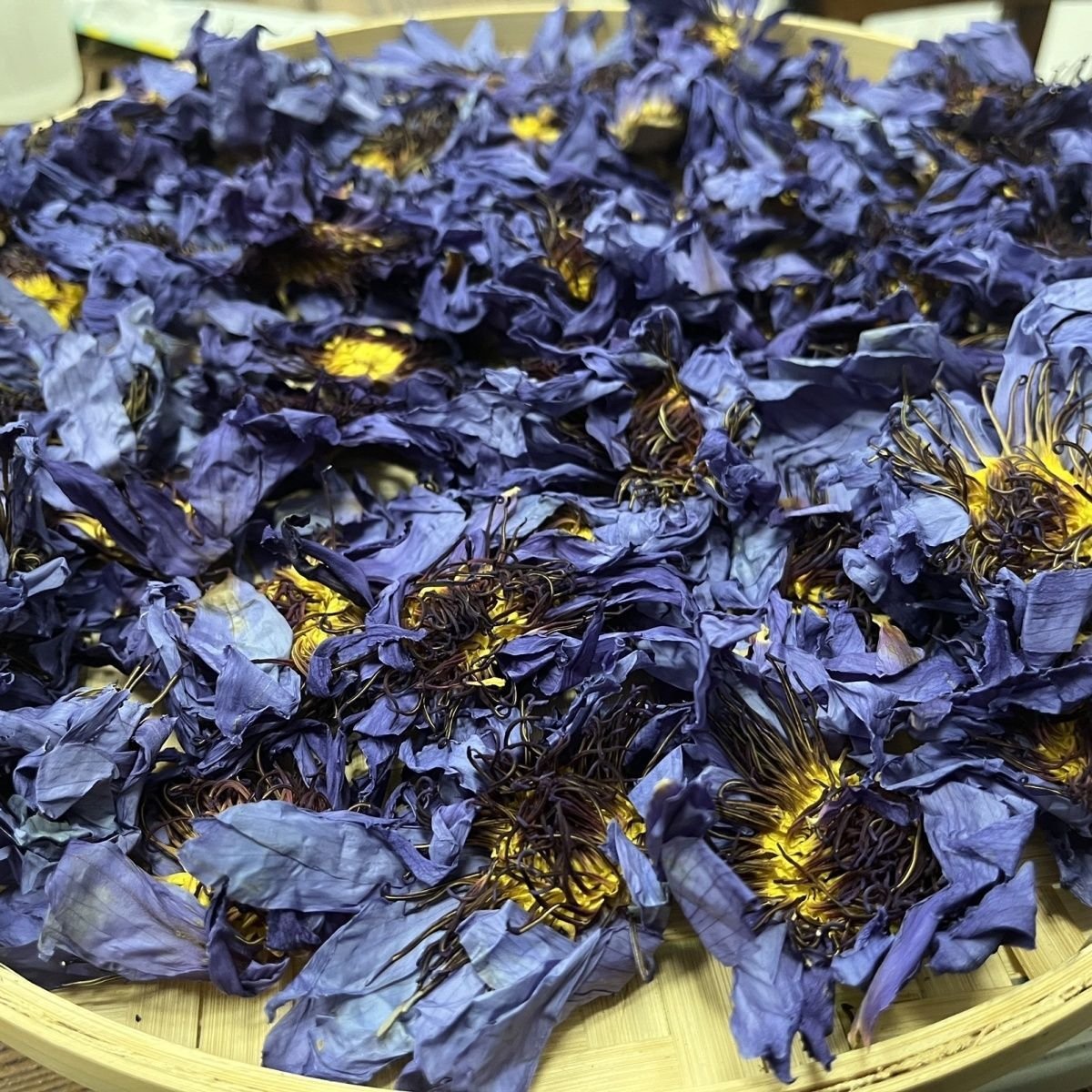 wholesale beautiful natural plant dried blue lotus flowers