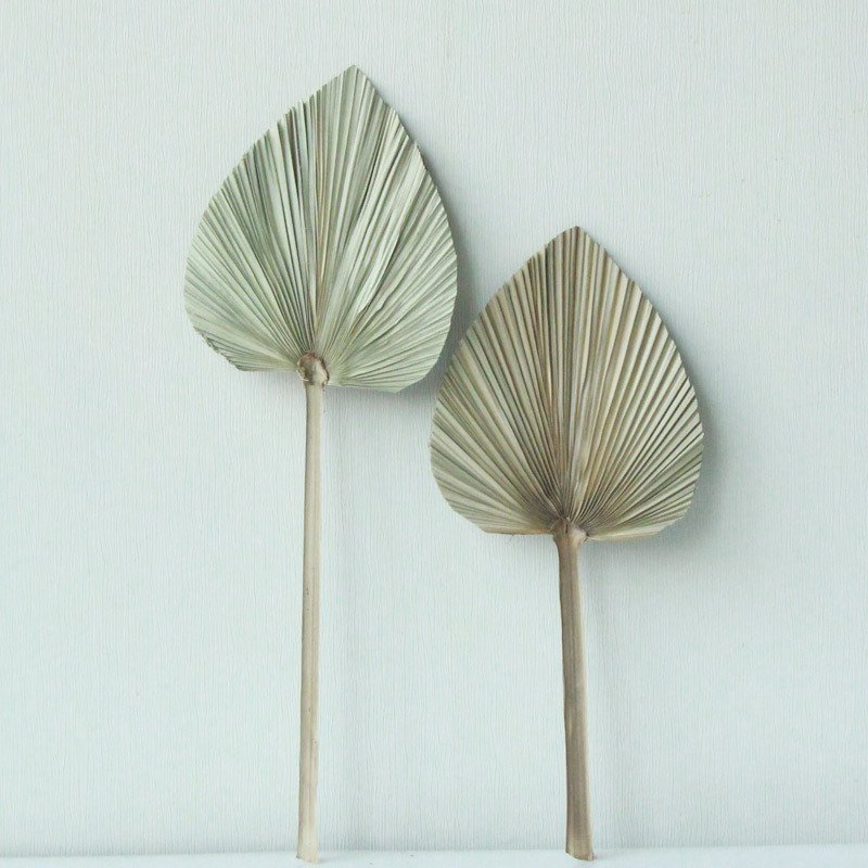 Wholesale Palm Plant Fan Natural Flower Dried Palm Leaf Decoration For Wedding Decoration Dried Palm Leaf Vase Flower