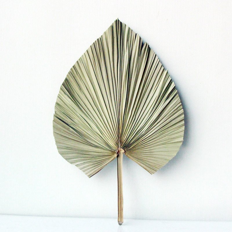 Wholesale Palm Plant Fan Natural Flower Dried Palm Leaf Decoration For Wedding Decoration Dried Palm Leaf Vase Flower