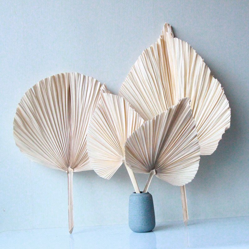Wholesale Palm Plant Fan Natural Flower Dried Palm Leaf Decoration For Wedding Decoration Dried Palm Leaf Vase Flower