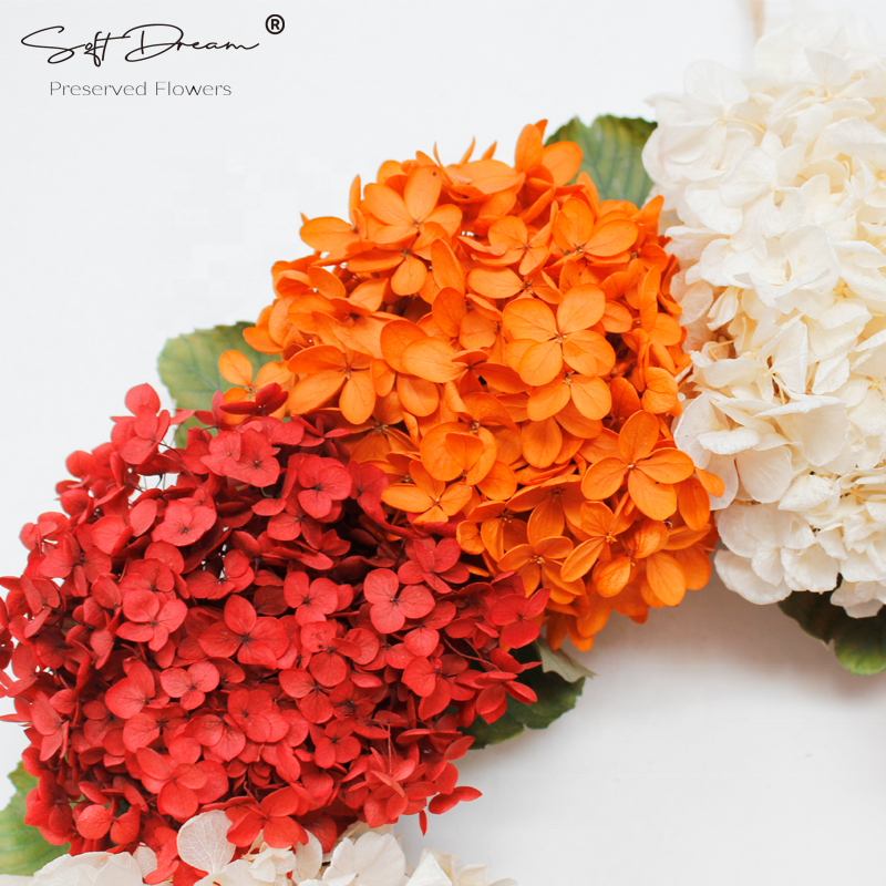 Hot Selling Christmas Natural Real Dried Flower Garland Preserved Hydrangea Autumn Wreath Decorative For Front Door