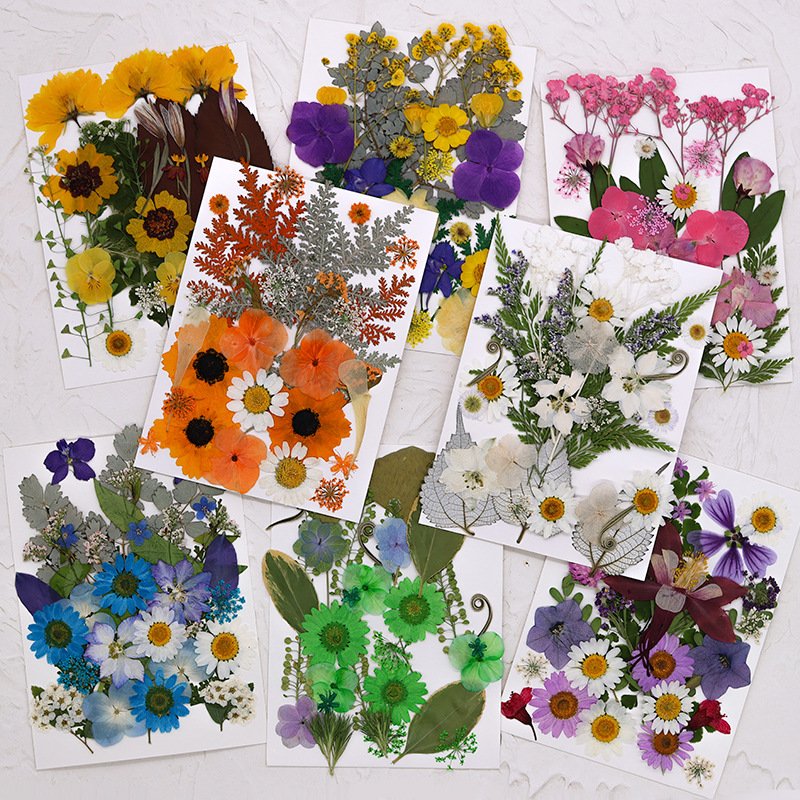 30pcs/pack YanXin Series Pressed Flower Mix Packs DIY Art Crafts Making Natural Plant Eco-friendly