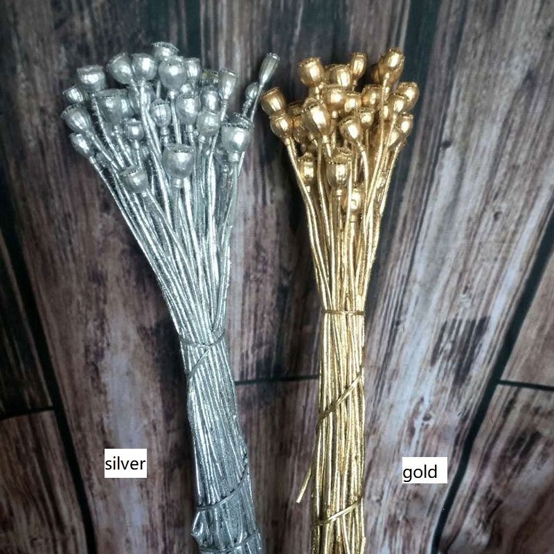 dried and natural Papaver rhoeas flower, corn poppy fruit ball flower