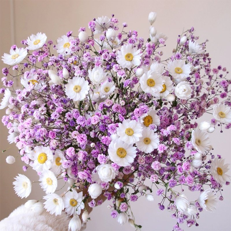 2024 in most popular preserved daisy dried rodanth preserved flower chrysanthemum for home wedding decoration