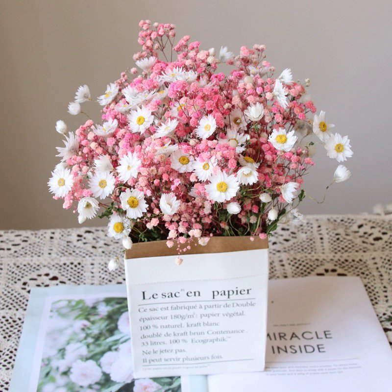 2024 in most popular preserved daisy dried rodanth preserved flower chrysanthemum for home wedding decoration