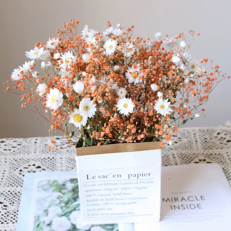 2024 in most popular preserved daisy dried rodanth preserved flower chrysanthemum for home wedding decoration