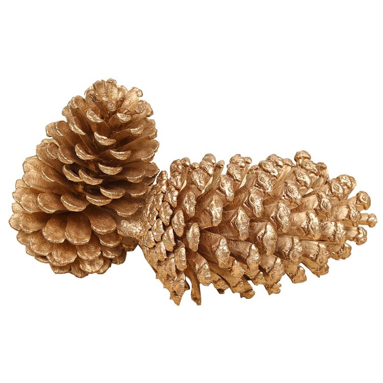 2024 most popular dry flowers natural real dried pine cone for home Christmas Decoration