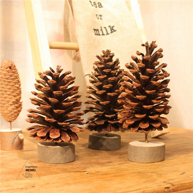 2024 most popular dry flowers natural real dried pine cone for home Christmas Decoration