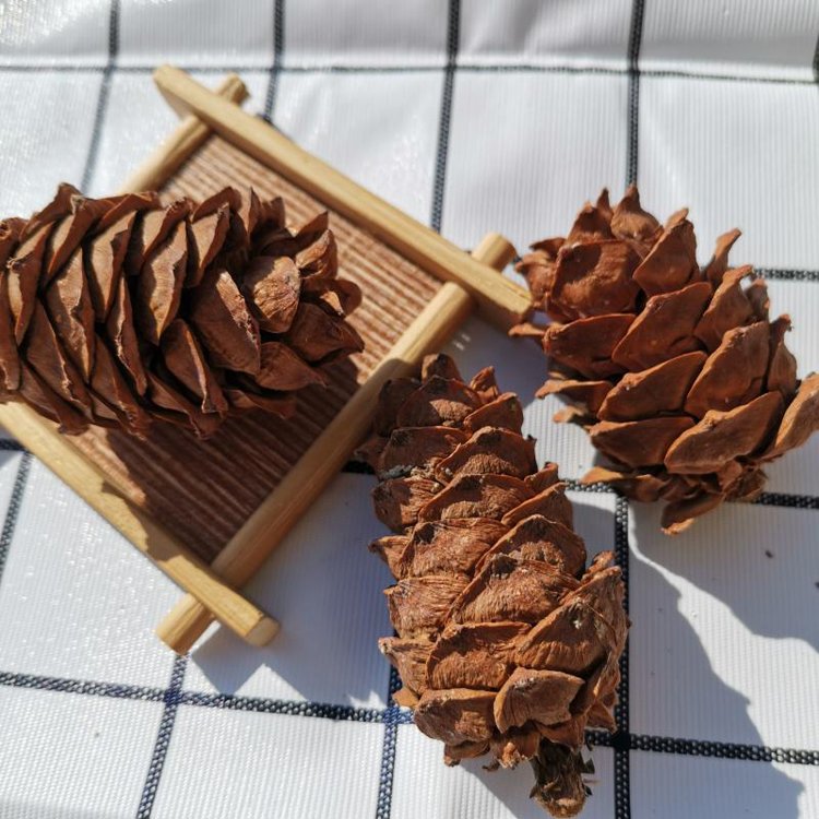 2024 most popular dry flowers natural real dried pine cone for home Christmas Decoration
