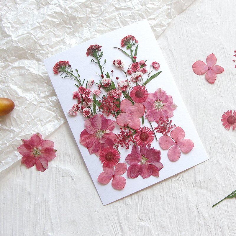 Premium Quality Real Dried Flowers Real Dried Pressed Flowers Colorful Resin Real Dried Flowers