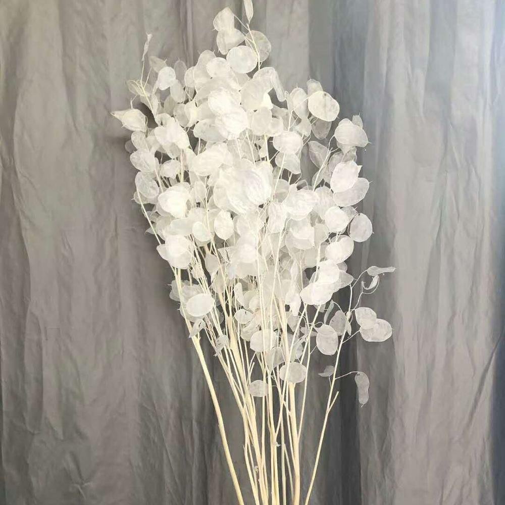 Wholesale Wedding Decor Lunaria annua Silver Fan Grass Preserved Flower Dried Flower For Dry Eringium Flower Art
