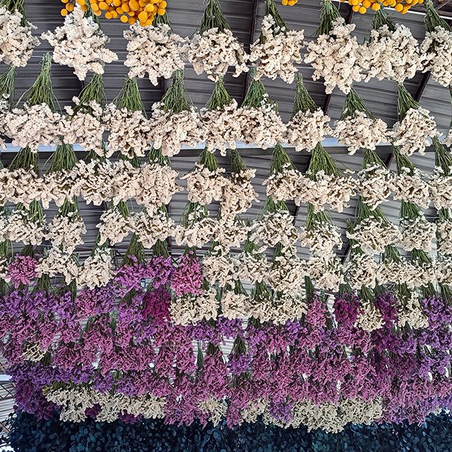 Yunnan Natural Dried Forget-Me-Not Leaf Flowers Bouquet Arrangement for Living Room Home Scene Decor Vase Flower Material
