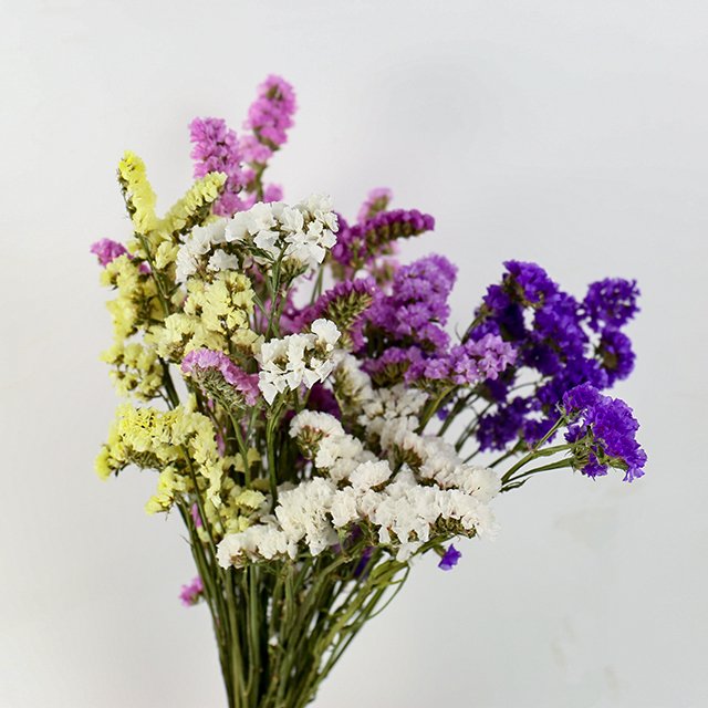 Yunnan Natural Dried Forget-Me-Not Leaf Flowers Bouquet Arrangement for Living Room Home Scene Decor Vase Flower Material