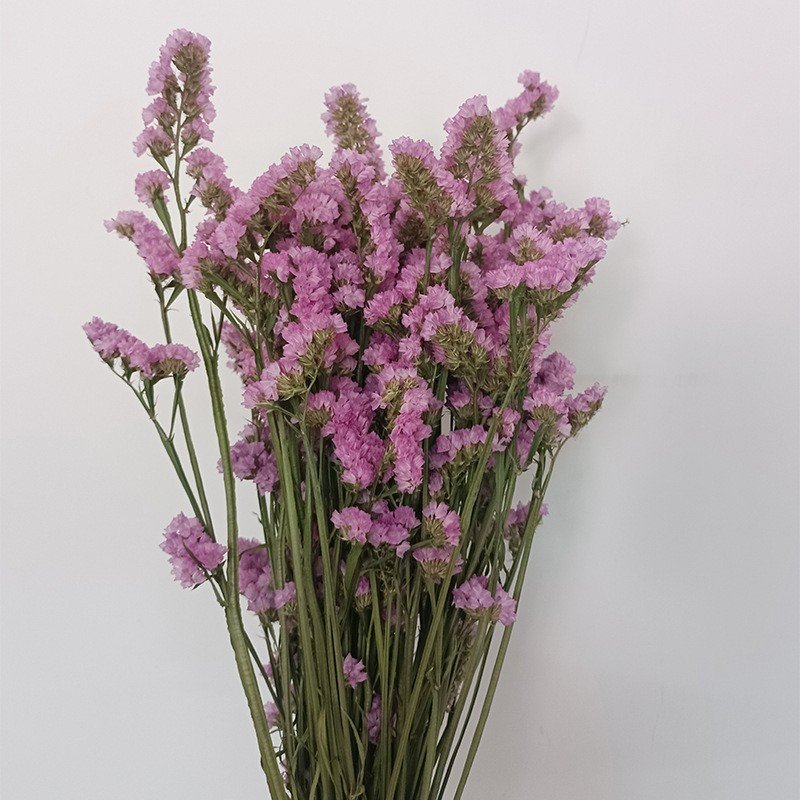 Yunnan Natural Dried Forget-Me-Not Leaf Flowers Bouquet Arrangement for Living Room Home Scene Decor Vase Flower Material
