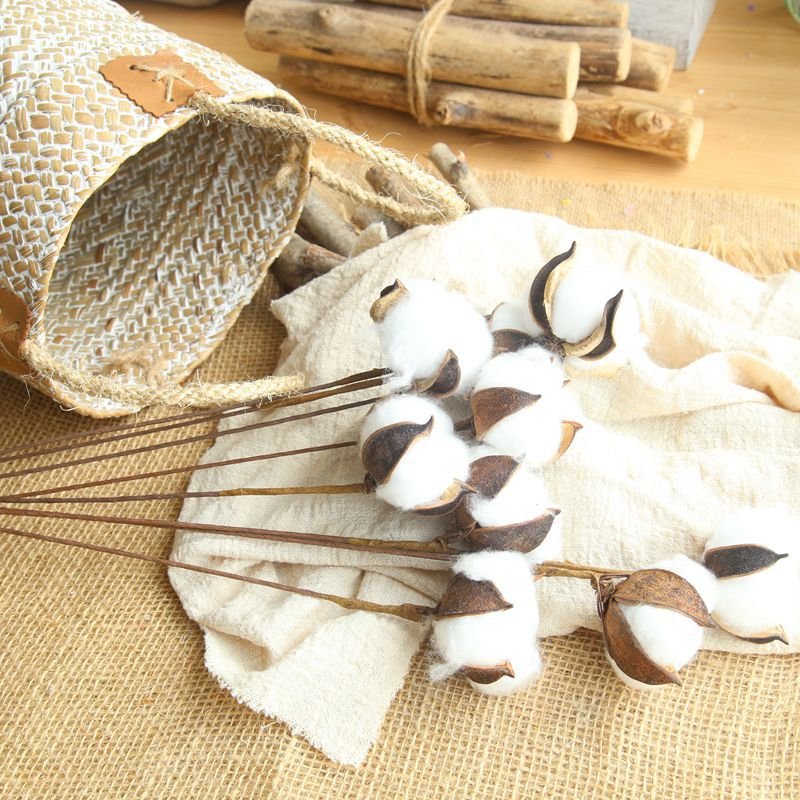 Hot Sale 59cm Natural Cotton Boll Stalk Single Stem Dried Flowers Home Decor Halloween Graduation Bulk Natural Cotton Branches