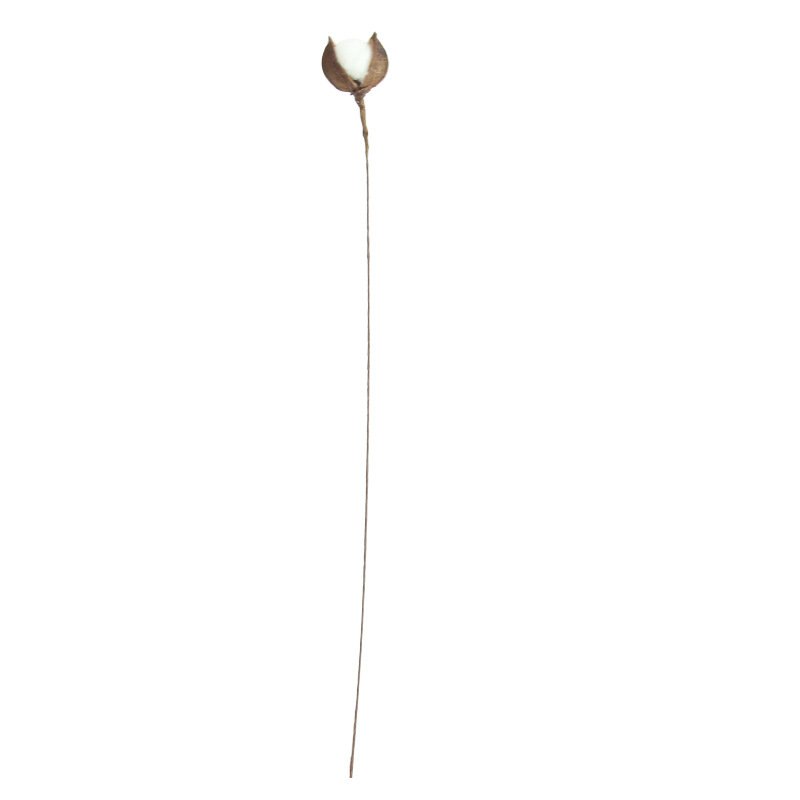 Hot Sale 59cm Natural Cotton Boll Stalk Single Stem Dried Flowers Home Decor Halloween Graduation Bulk Natural Cotton Branches