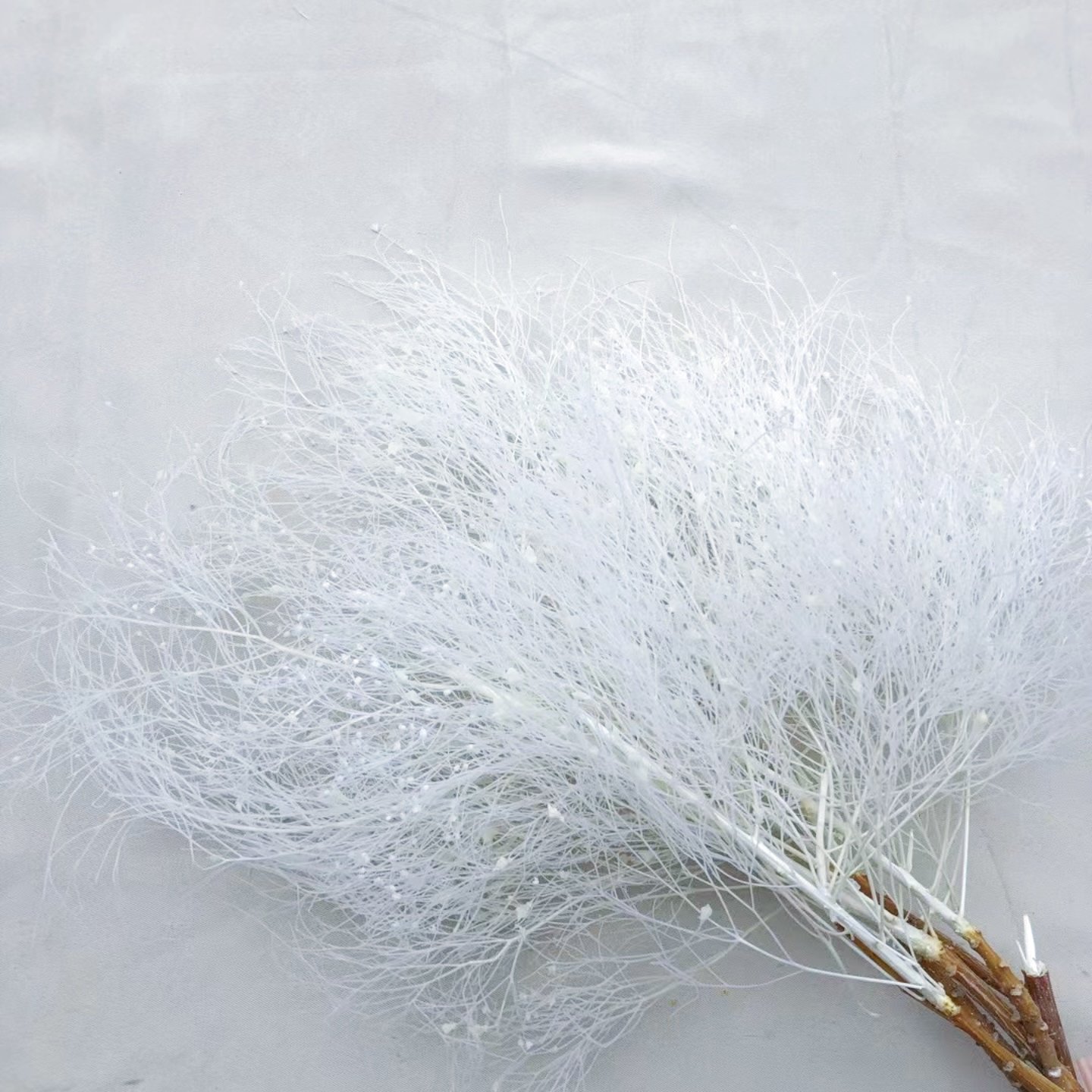 2024 ins style hot selling preserved flowers Fantasy Grass Natural Decoration Flower Dry Flower for home/wedding decoration