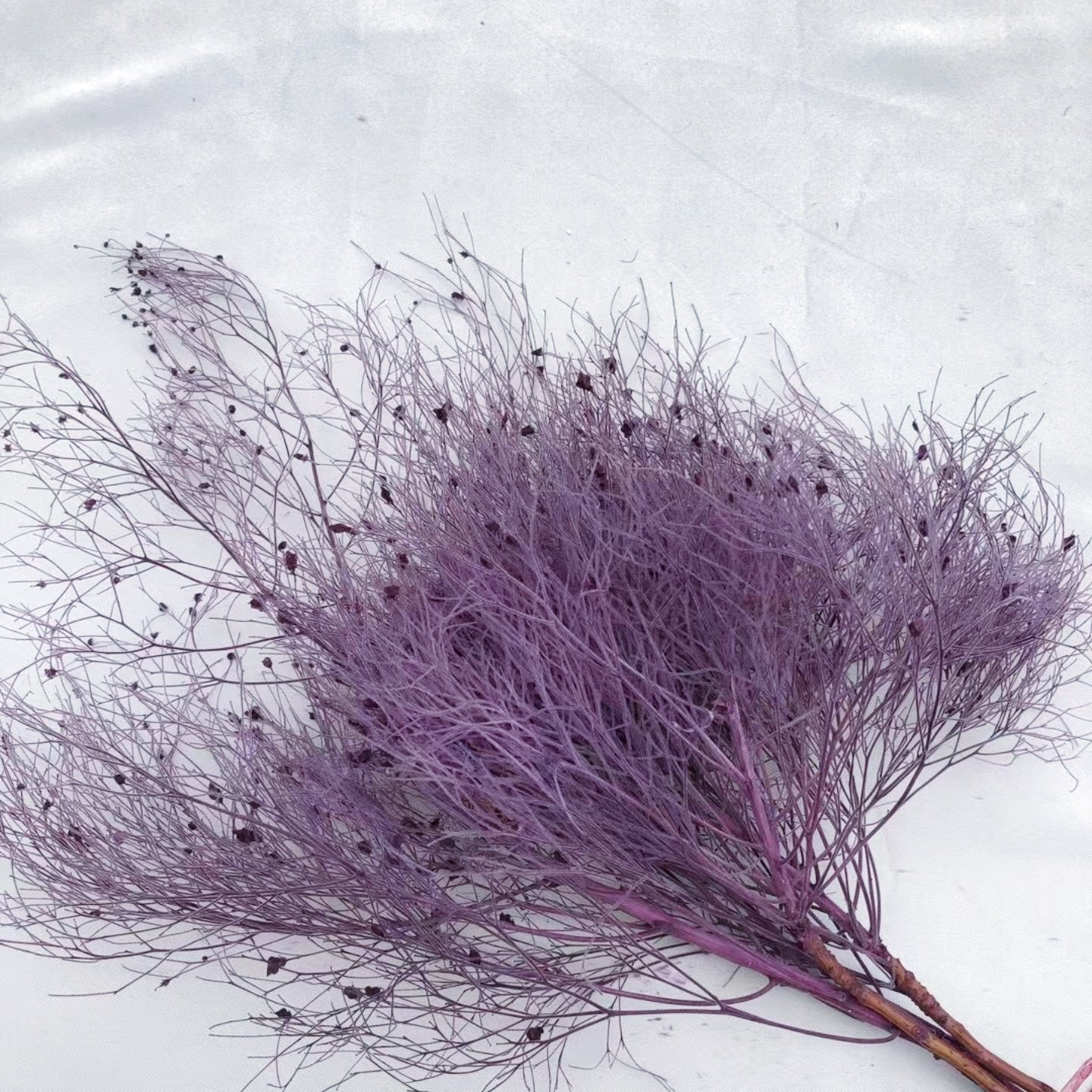 2024 ins style hot selling preserved flowers Fantasy Grass Natural Decoration Flower Dry Flower for home/wedding decoration