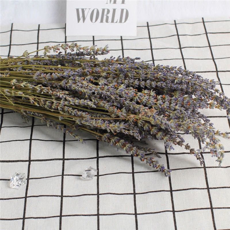 Dried flowers & plants Hot Sell Natural Dried lavender Flower Living Room Home Decoration DIY Flower lavender Bouquet