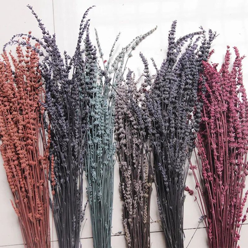 Dried flowers & plants Hot Sell Natural Dried lavender Flower Living Room Home Decoration DIY Flower lavender Bouquet
