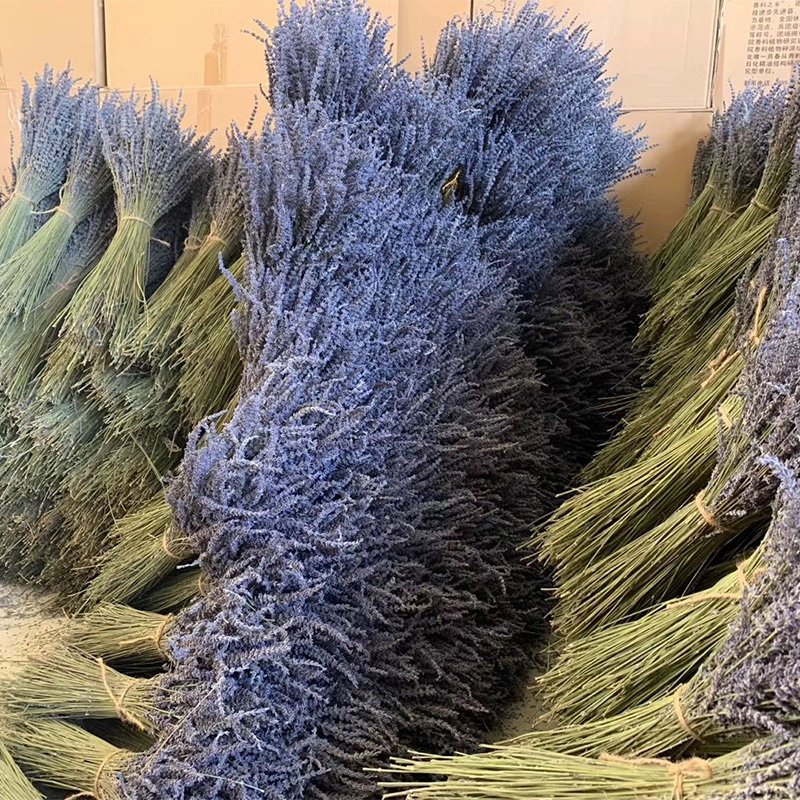 Dried flowers & plants Hot Sell Natural Dried lavender Flower Living Room Home Decoration DIY Flower lavender Bouquet