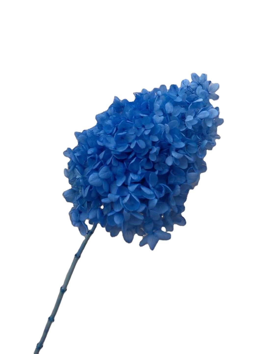 wholesale ins popular real natural dried hydrangeas tower hydrangea preserved cone hydrangea for home events hotel wedding decor