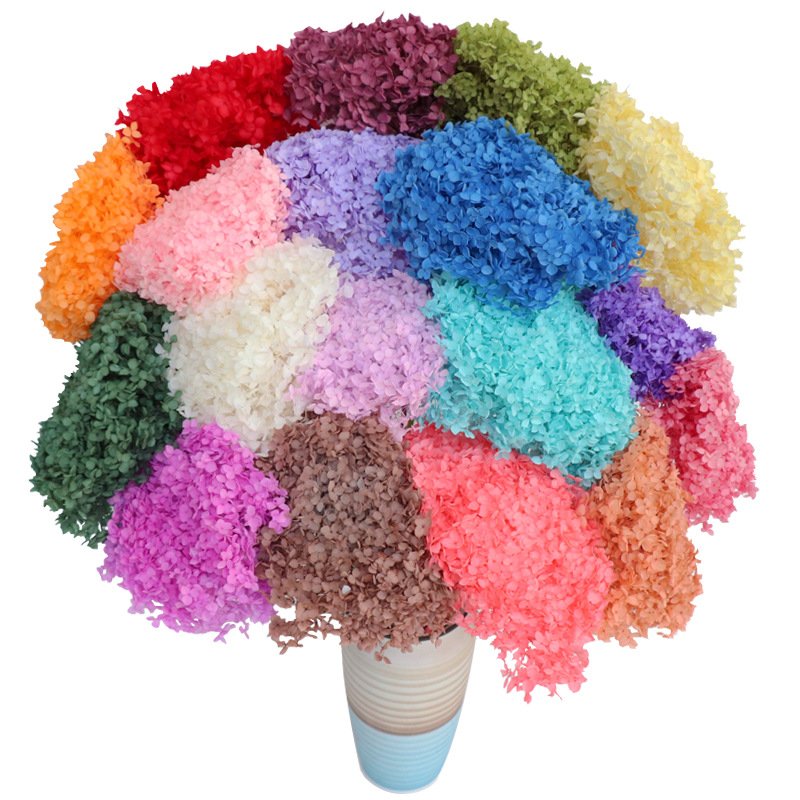 DIY Material Immortal Preserved Fresh Anna hydrangea Flower the Colorful Forever hydrangea Artificial Flower