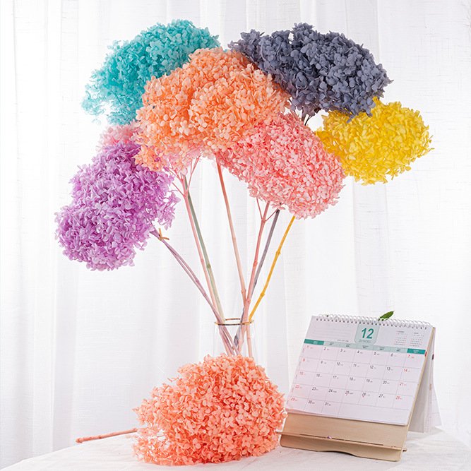 DIY Material Immortal Preserved Fresh Anna hydrangea Flower the Colorful Forever hydrangea Artificial Flower