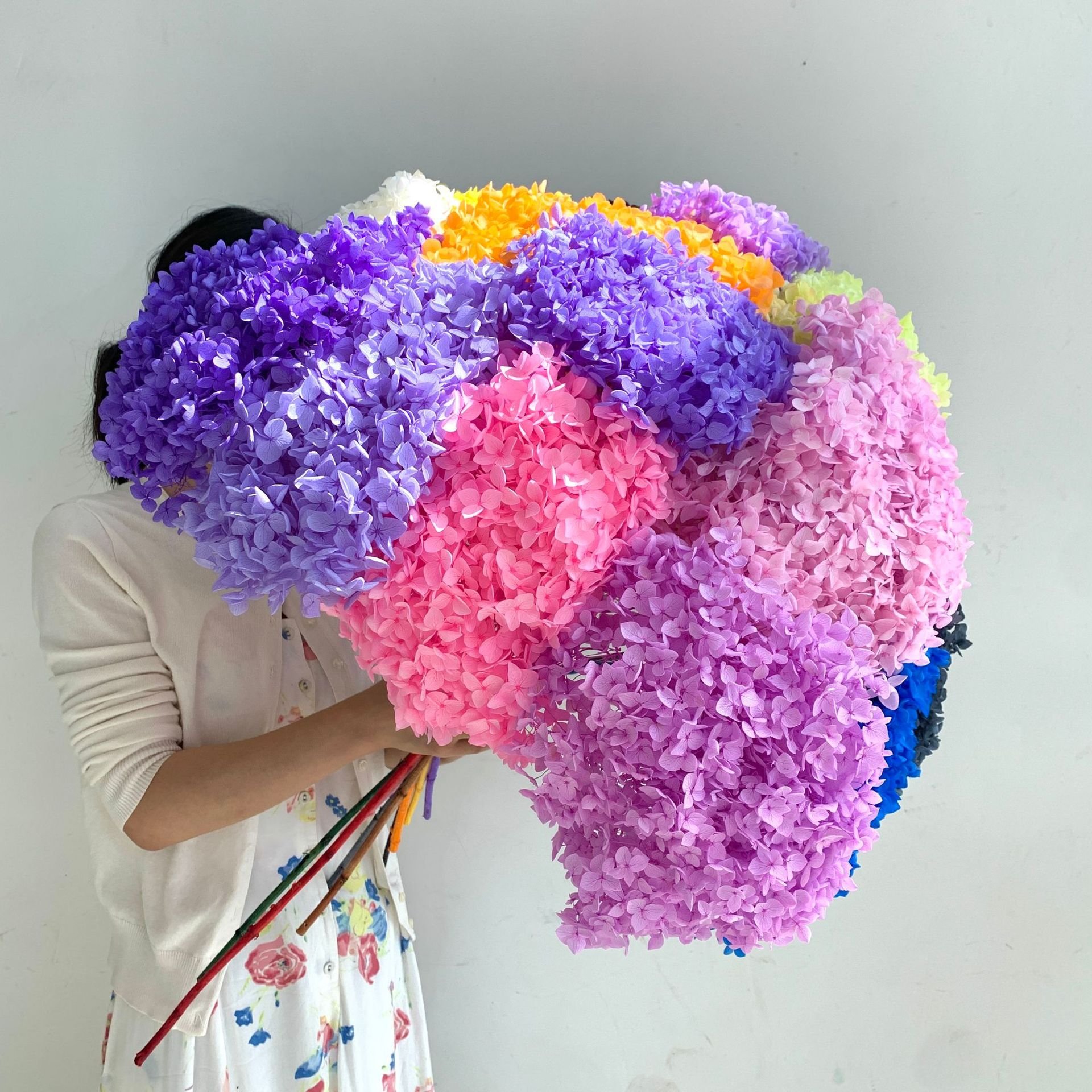 DIY Material Immortal Preserved Fresh Anna hydrangea Flower the Colorful Forever hydrangea Artificial Flower