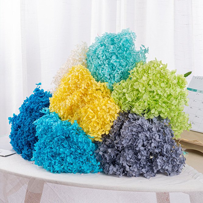 DIY Material Immortal Preserved Fresh Anna hydrangea Flower the Colorful Forever hydrangea Artificial Flower