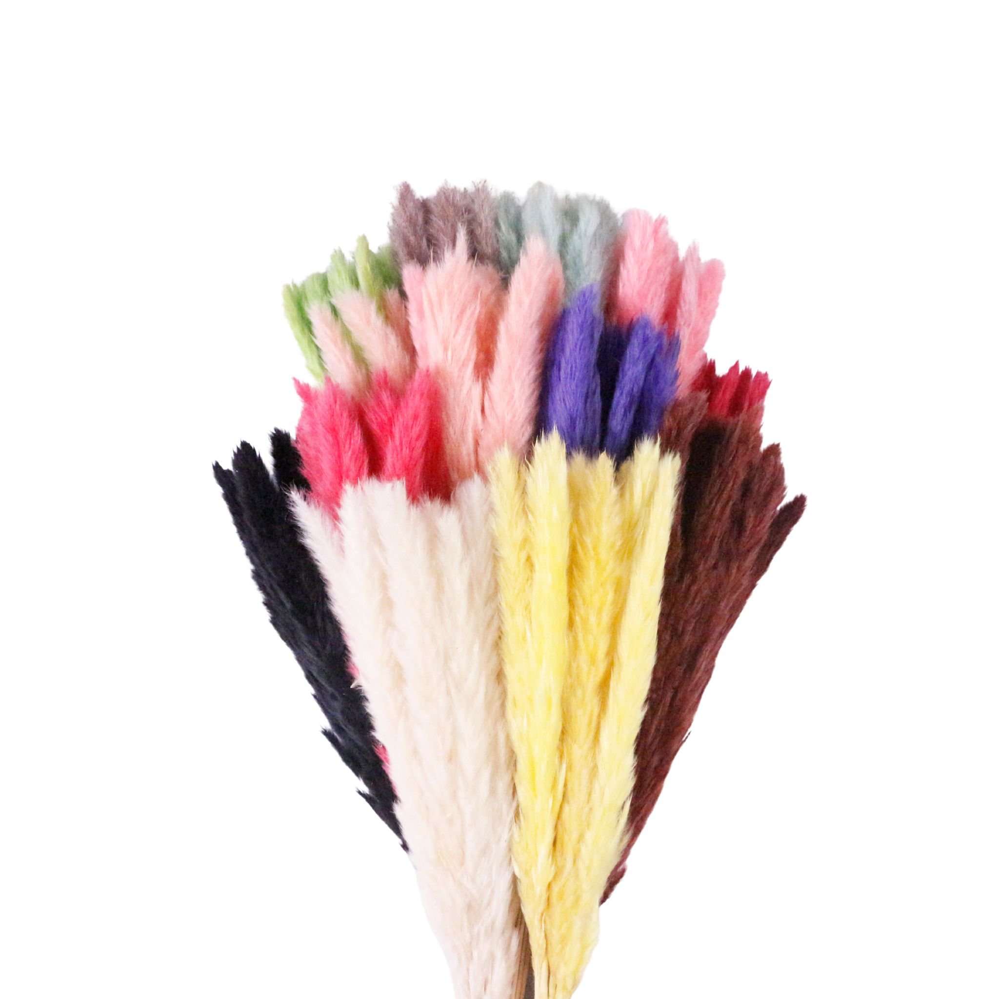 Factory direct sales Wholesale Home Wedding Decoration Fluffy Pampas Grass Pure Natural Dried Pampas Grass with a Natural Touch