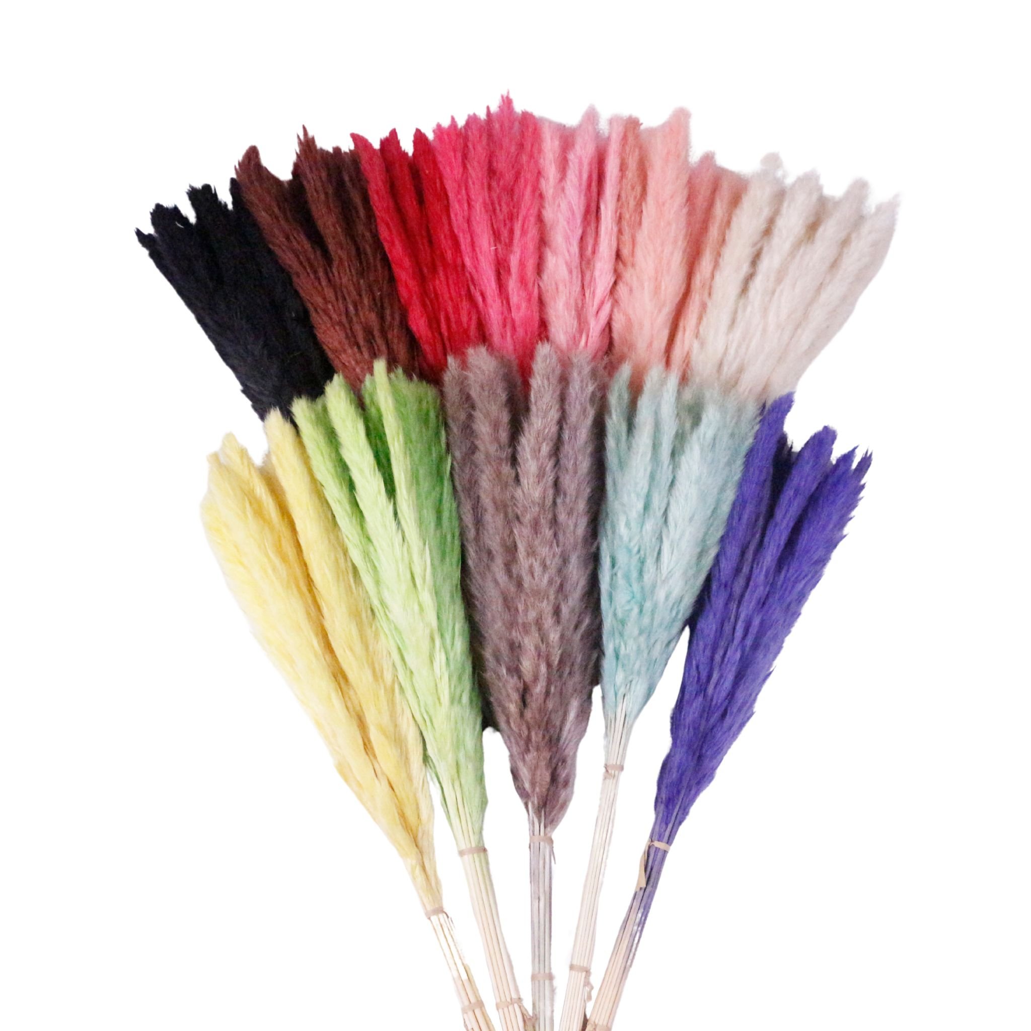 Factory direct sales Wholesale Home Wedding Decoration Fluffy Pampas Grass Pure Natural Dried Pampas Grass with a Natural Touch