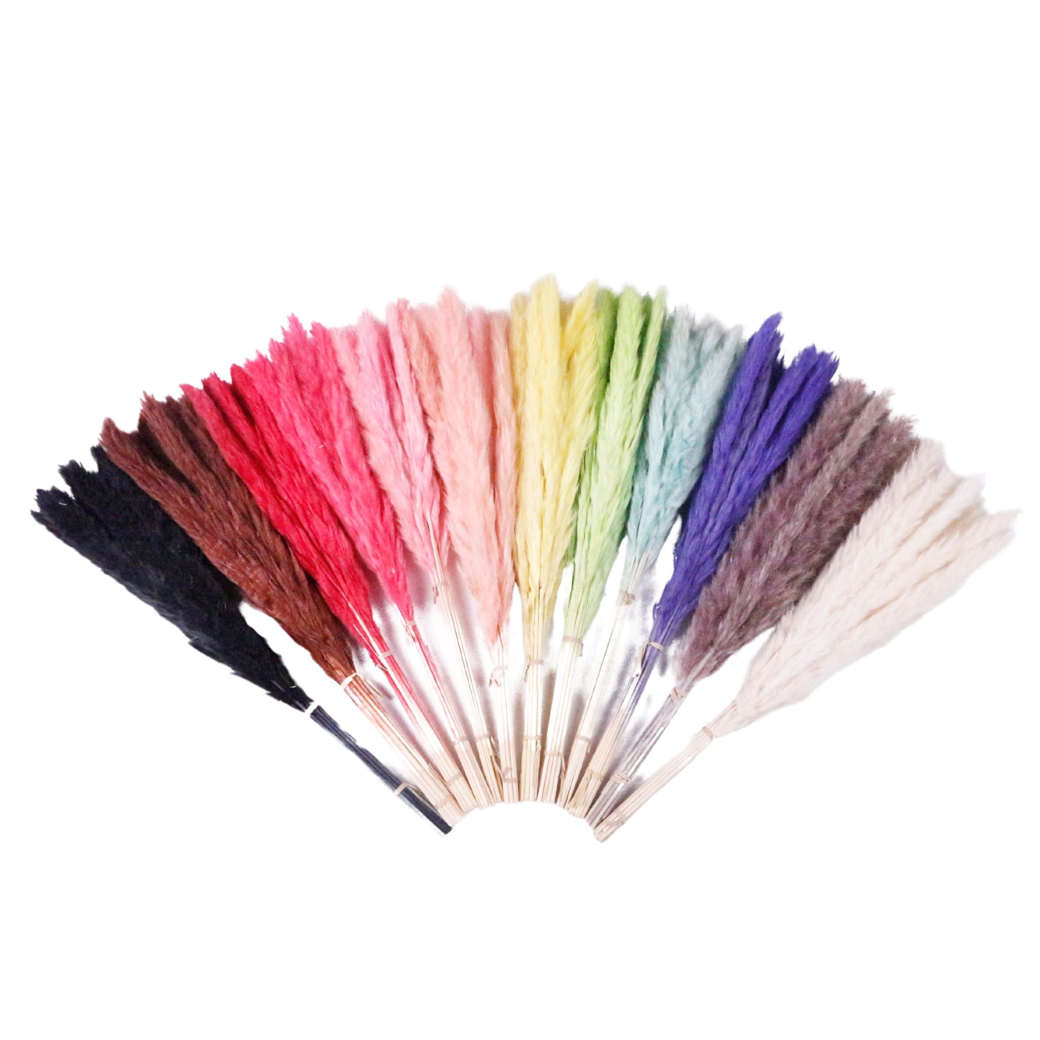 Factory direct sales Wholesale Home Wedding Decoration Fluffy Pampas Grass Pure Natural Dried Pampas Grass with a Natural Touch