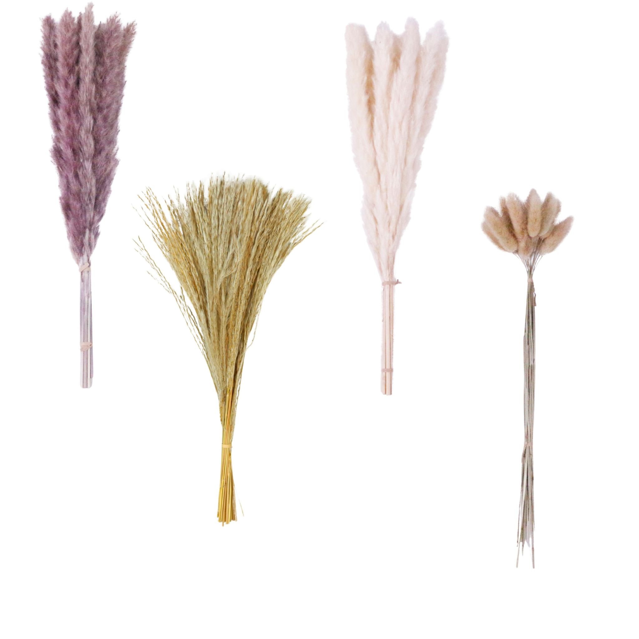 Factory direct sales Wholesale Home Wedding Decoration Fluffy Pampas Grass Pure Natural Dried Pampas Grass with a Natural Touch