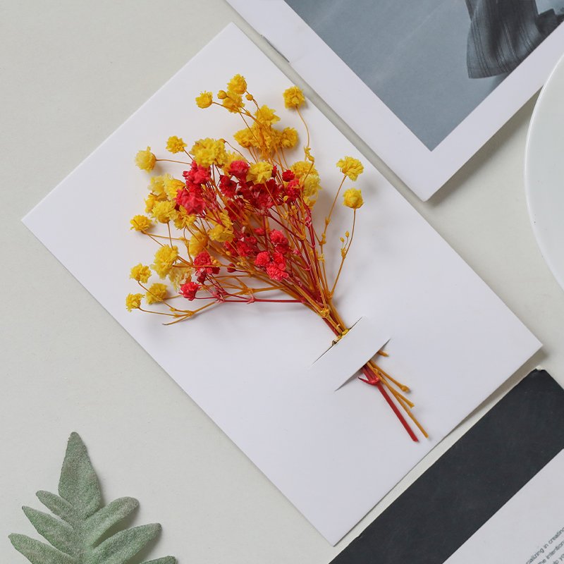 Mini Boho Preserved Roses Bouquet Natural Dried Flowers and Gift Cards for Weddings Mother's Day Gifts